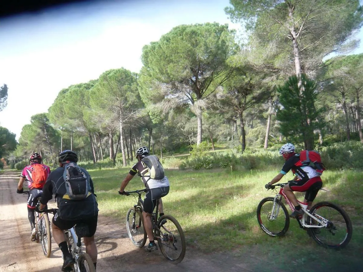 Sevillabienestar Bollullos de la Mitacion Homestay